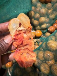 Agbalumo -20pcs - Image 3