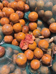 Agbalumo -20pcs - Image 4