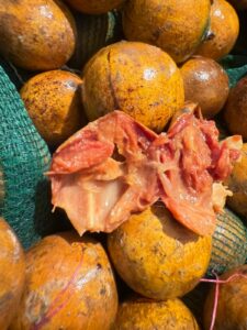 Agbalumo -20pcs - Image 2