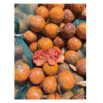 Agbalumo -20pcs