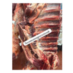 Cow Briskets