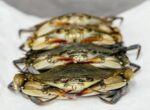 Soft Shell Crab Hotel-18pcs(1kg) - Image 3
