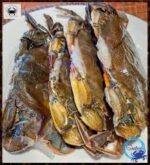 Soft Shell Crab Whales-10pcs(1kg) - Image 3
